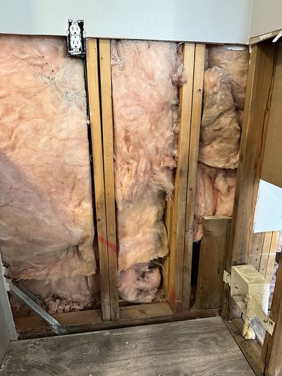 Water-damaged insultation between structural walls