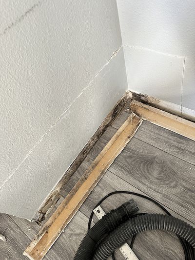 Baseboards removed with identifiable mold