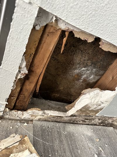 Stripped drywall with mold and signs of previous water damage