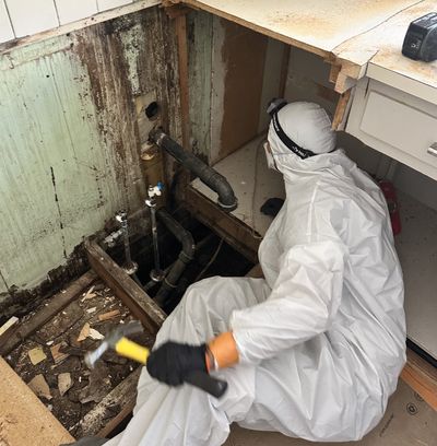 declare it restored & remodeled technician locating mold behind kitchen cabinets